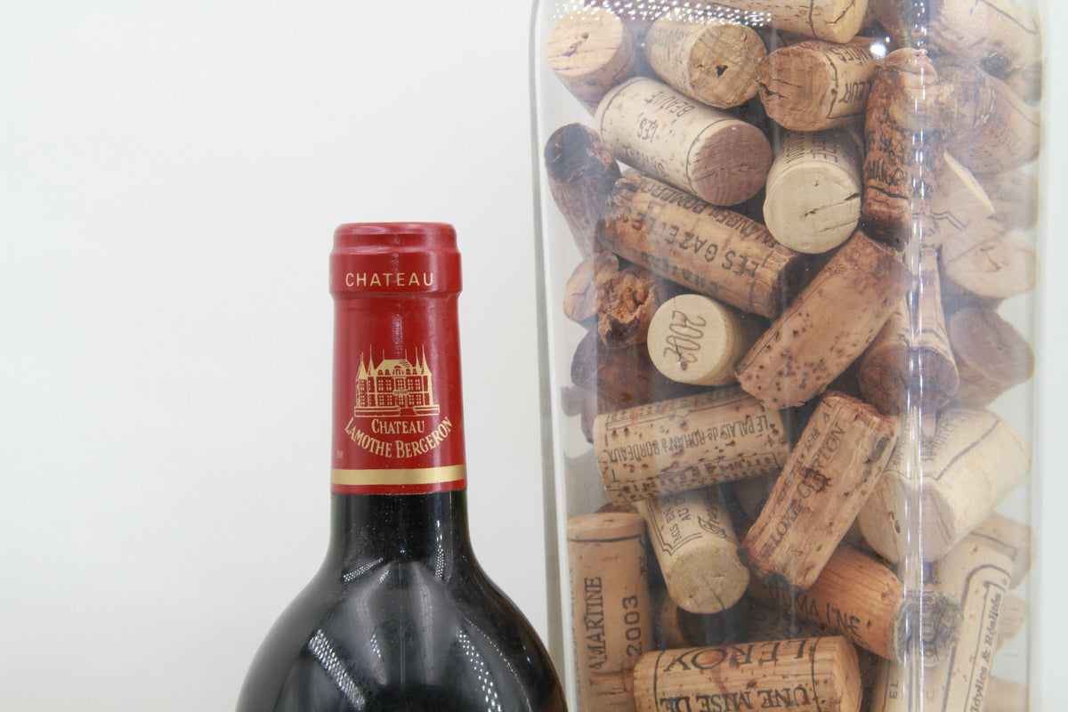 Chateau Lamothe Bergeron Haut Médoc 1994 Cru Bourgeois