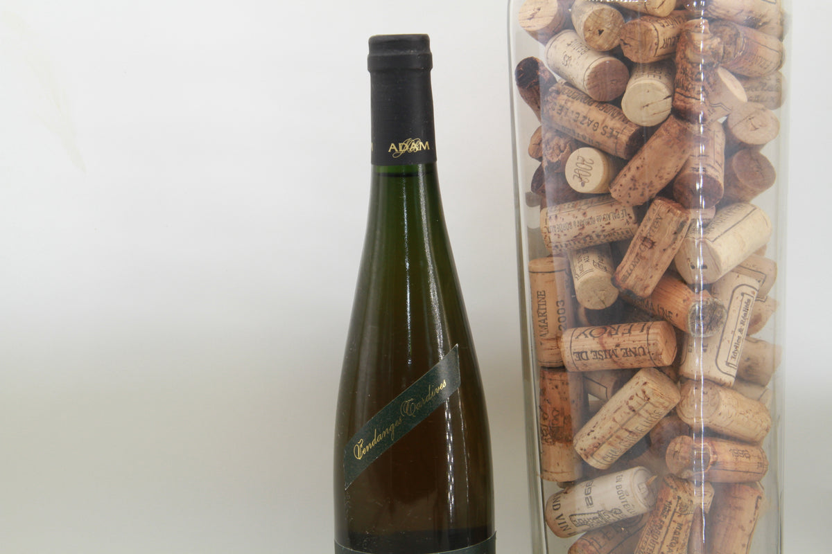 Riesling Grand Cru Vendanges Tardives 1990 Adam