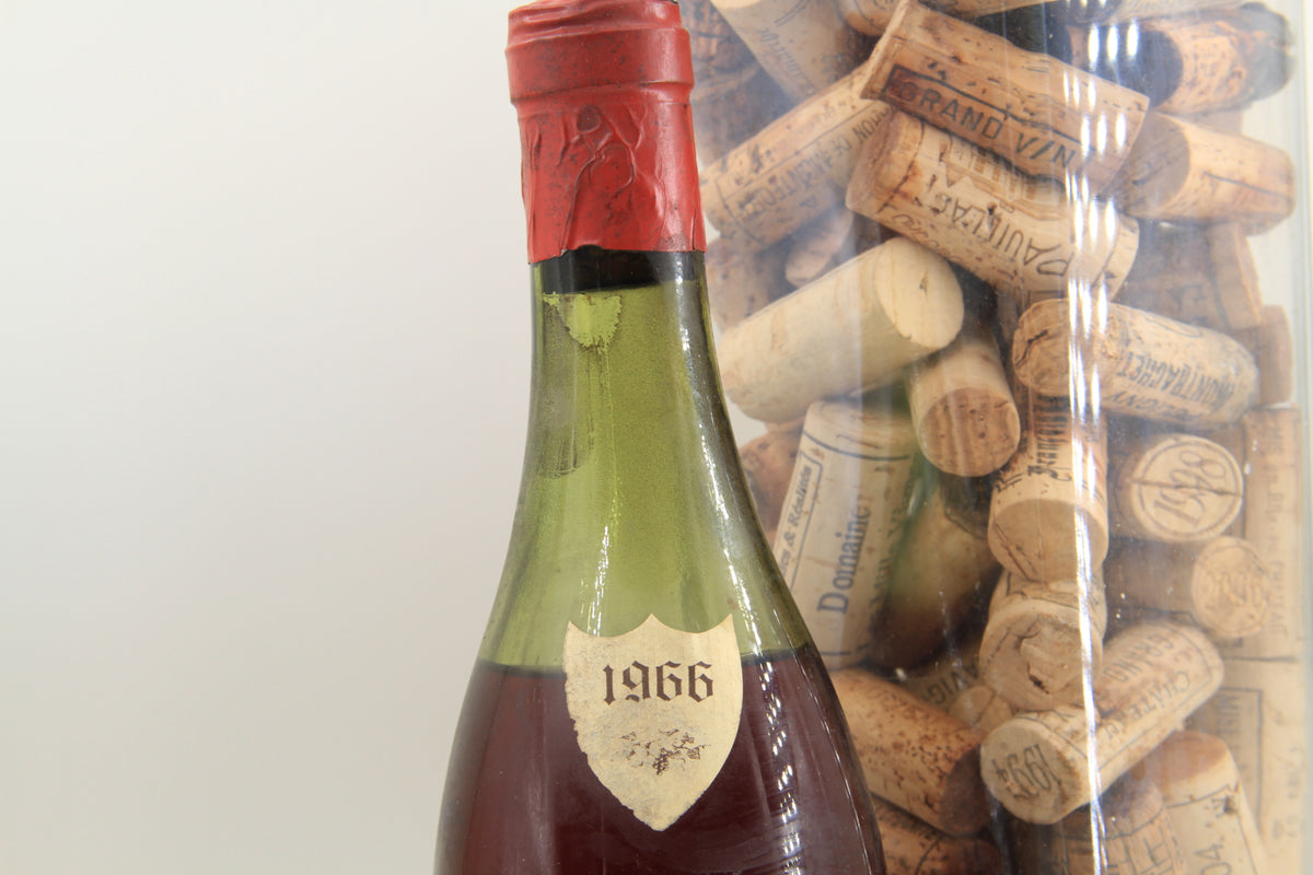 - Mazys-Chambertin **1966** Bizot - Eric-Dixvins
