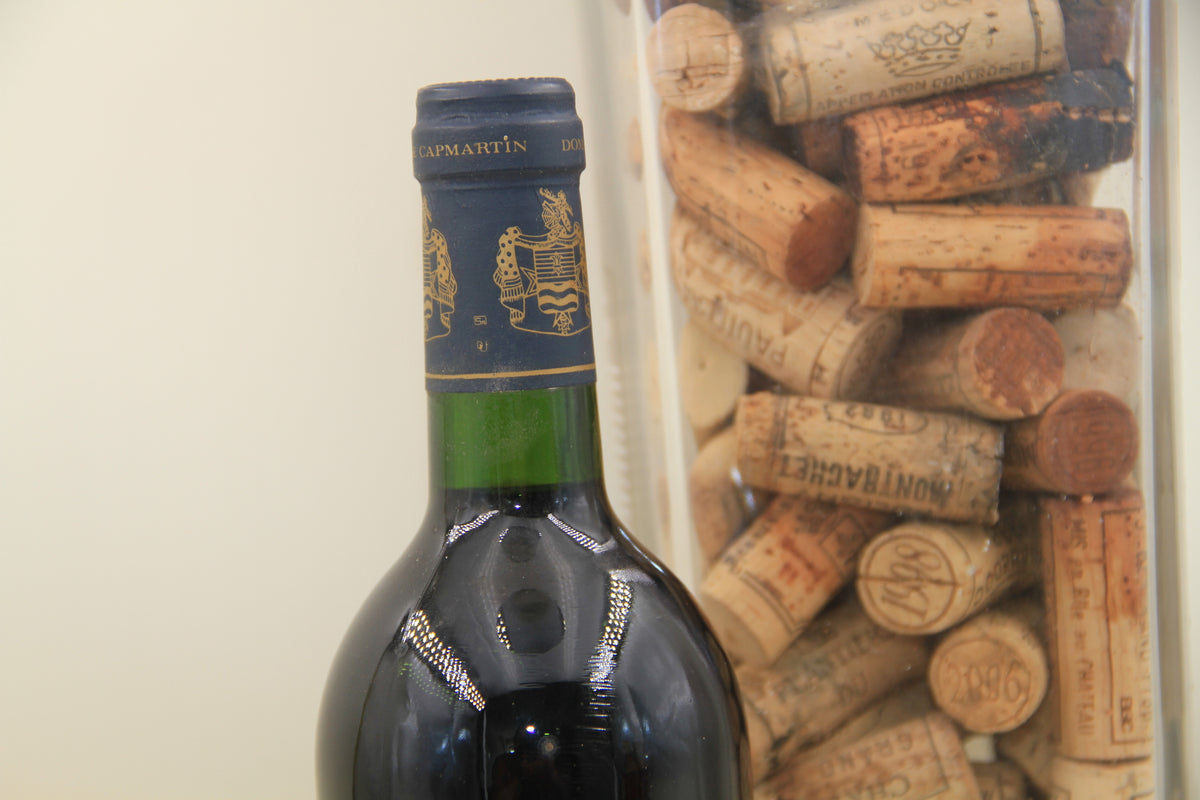 Domaine Cap Martin Cuvée du Couvent **1995 ** Madiran Guy CapMartin - Eric-Dixvins