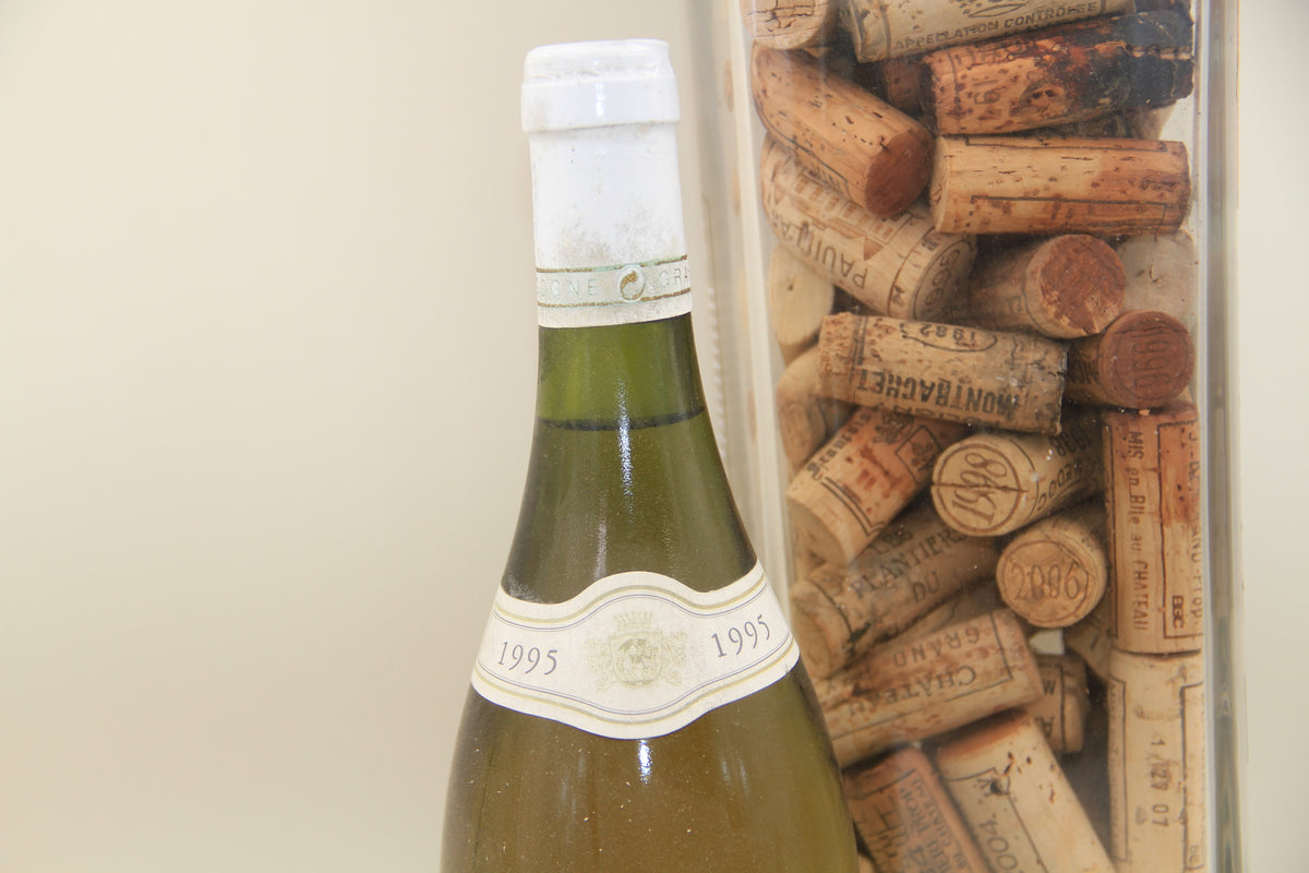 -Beaune Clos Des Capucins " **1995** JL Aegerter - Eric-Dixvins