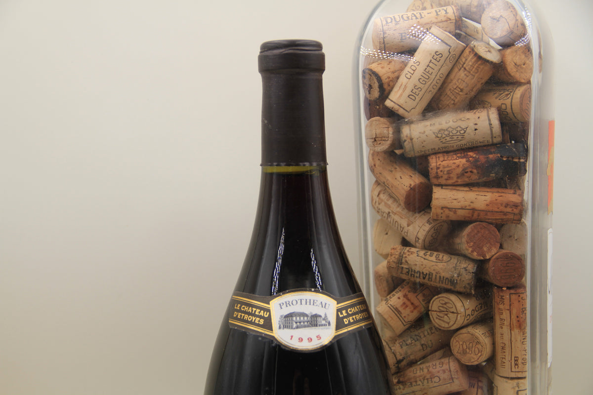 Bourgogne " Vigne de Champrenard "1995" Domaine Protheau Magnum 1,5L - Eric-Dixvins