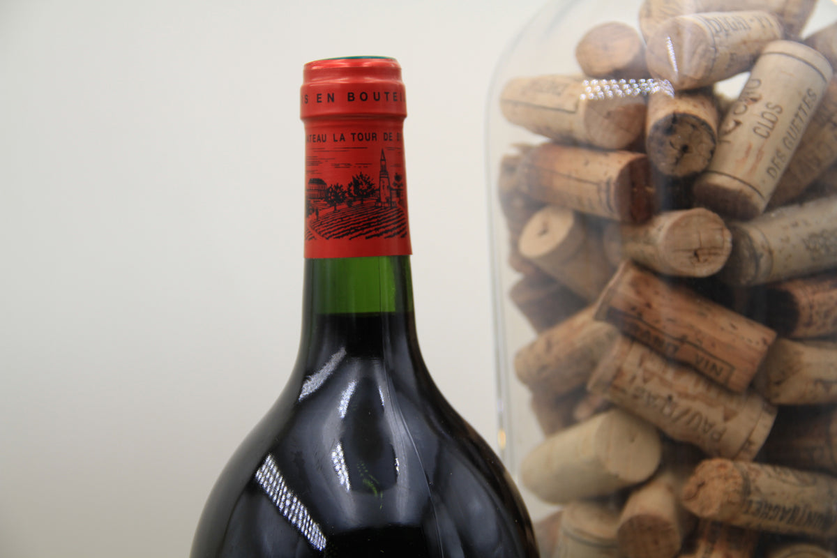 Chateau La Tour De By **2005** Médoc Cru Bourgrois. Magnum 1,5L - Eric-Dixvins