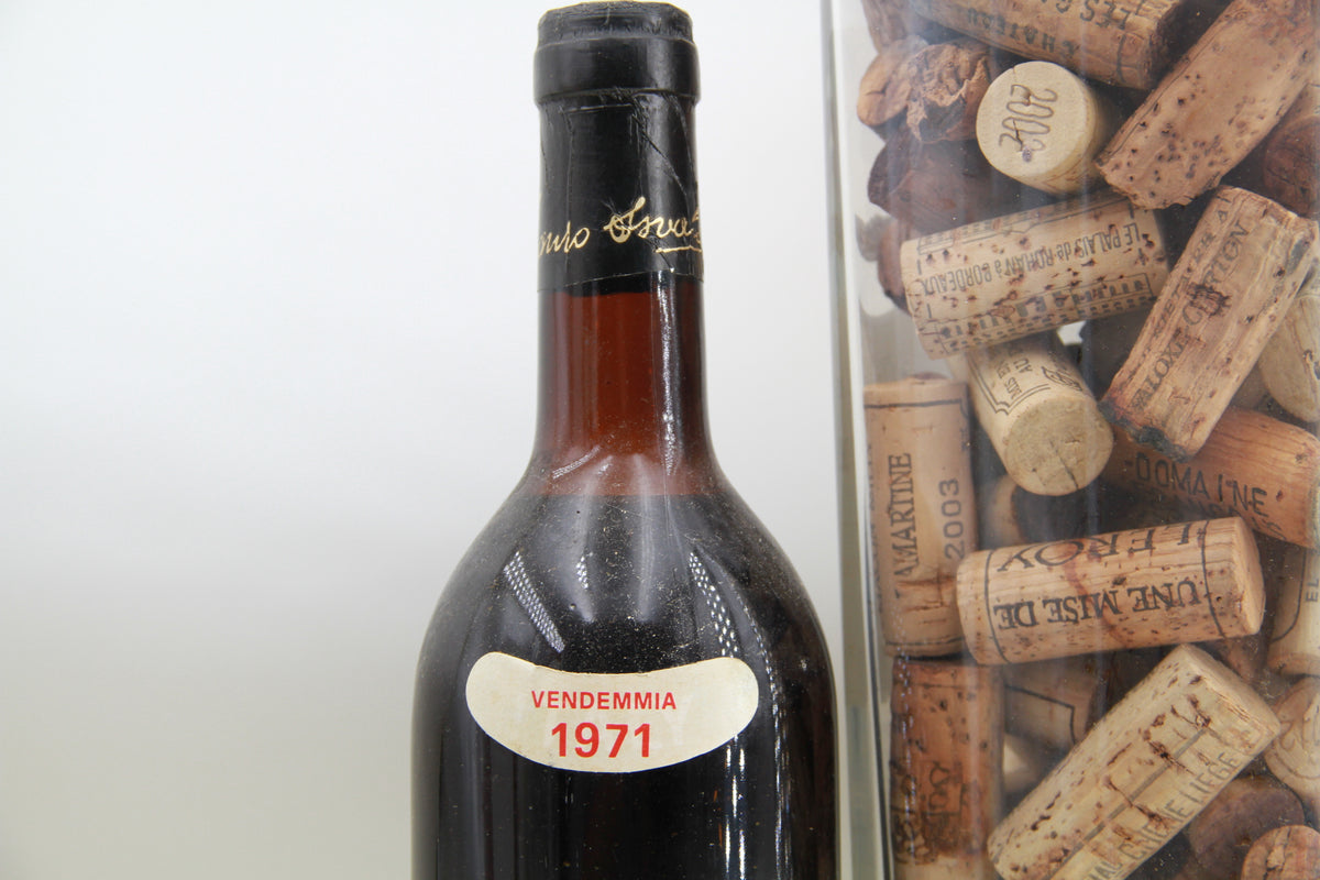 Grignolino.     Mauro Osvaldo & Figli  1971