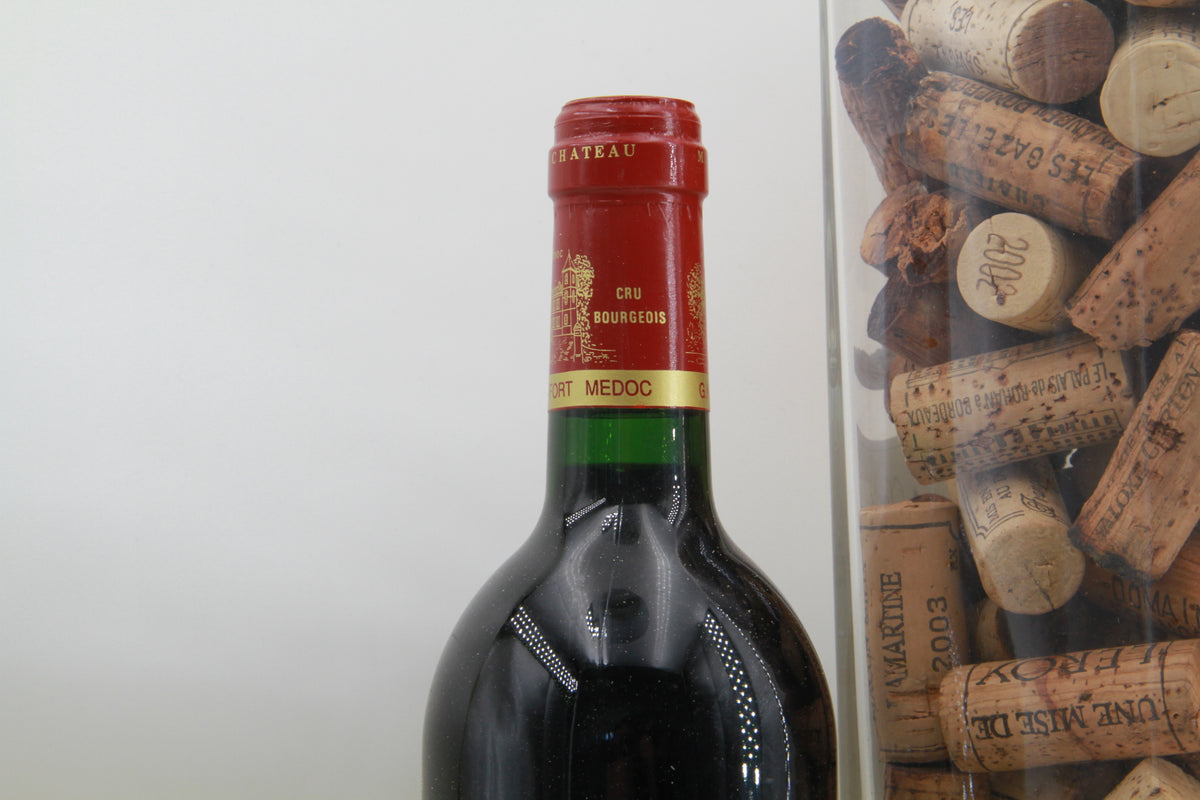 Chateau Camino Salva  Cru Bourgeois Haut Médoc 1996