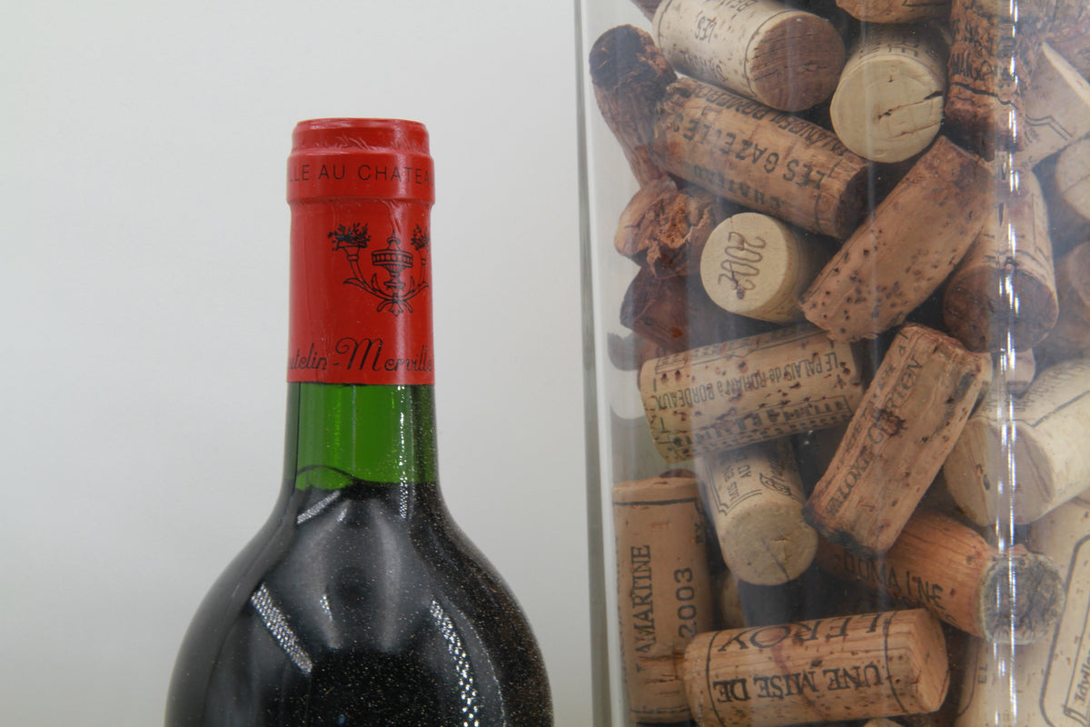Chateau Coutelin-Merville  Cru Bourgeois Saint Éstephe 1996