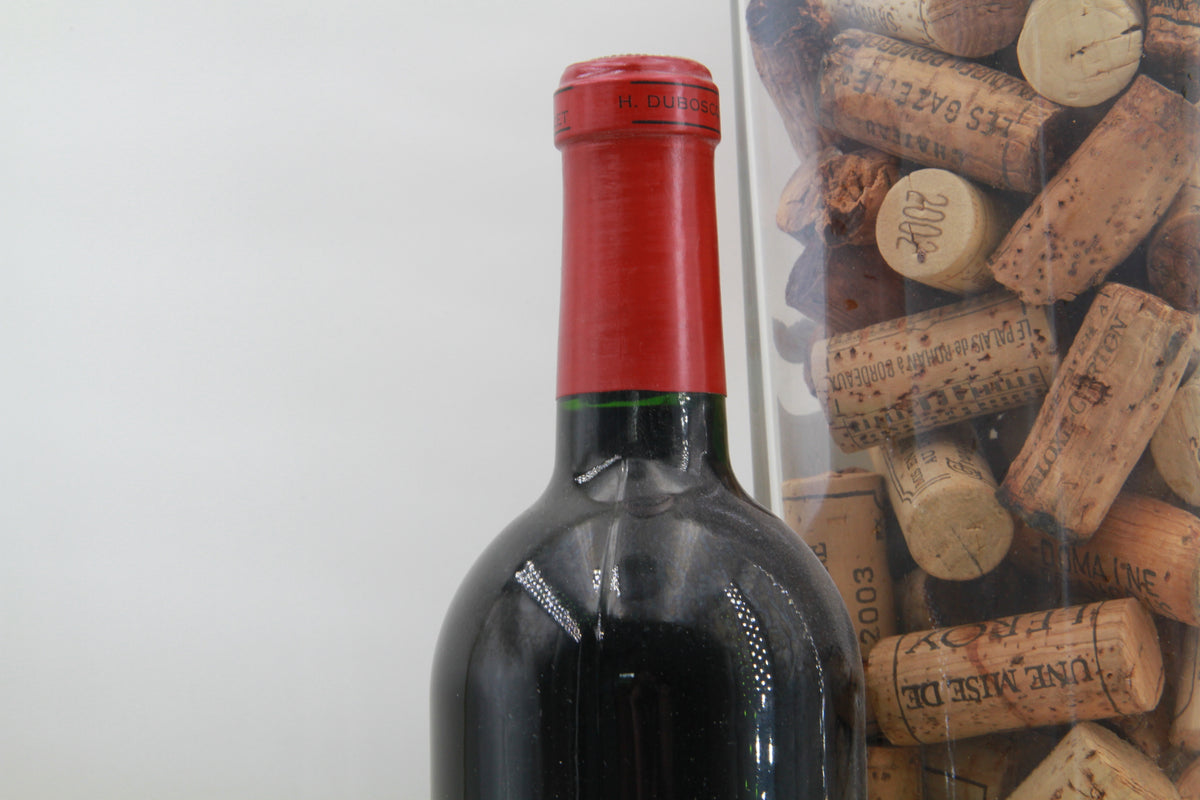 Chateau Haut-Marbuzet  Saint Éstephe  2000