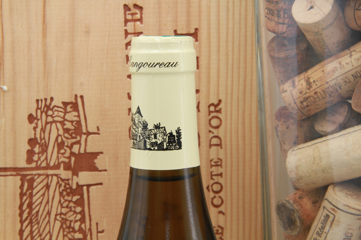 Saint Aubin  1er Cru   En Remilly   Domaine Sylvain Langourou    2012