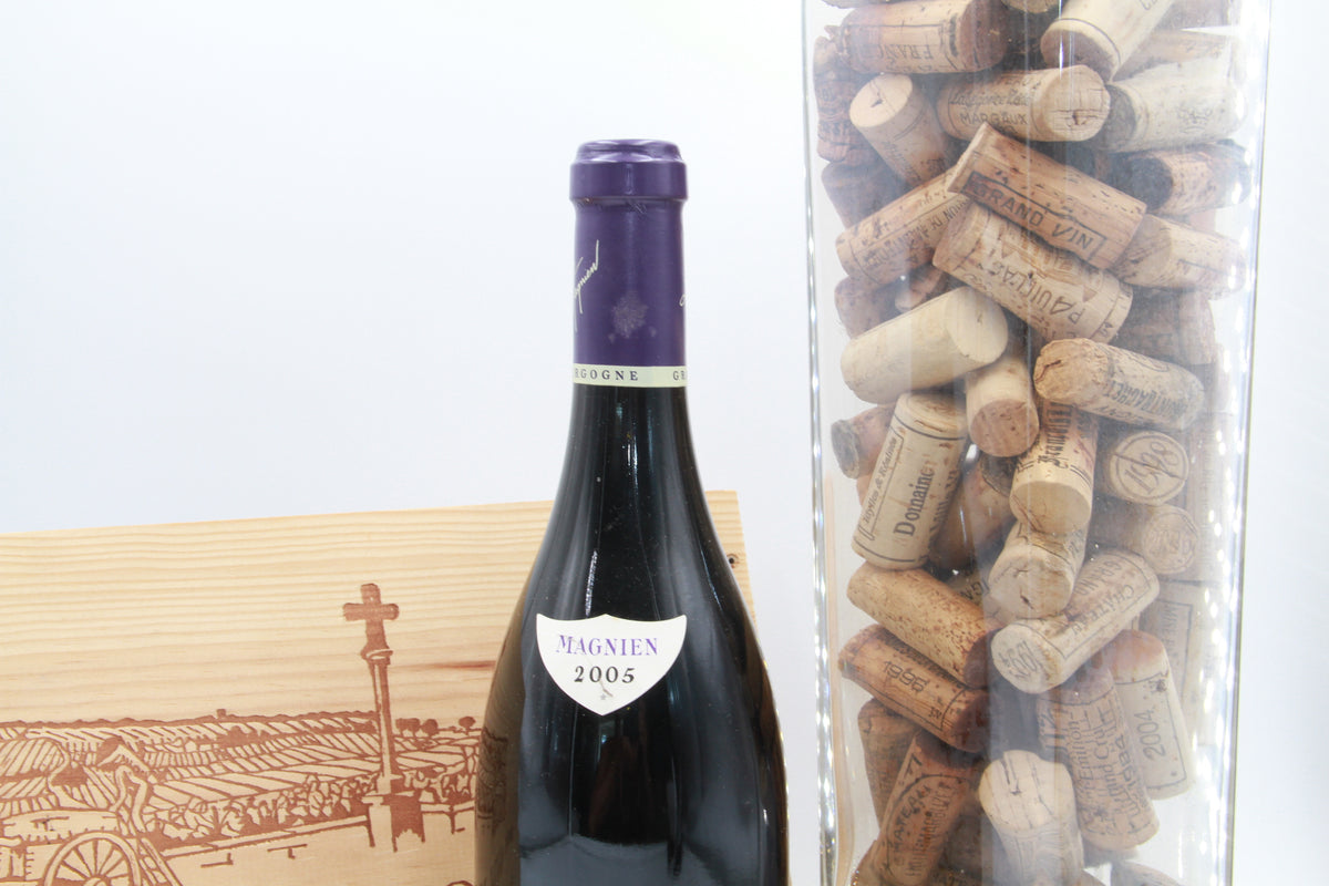 Morey Saint Denis 1er Cru  Ruchots   Frédéric Magnien   2005