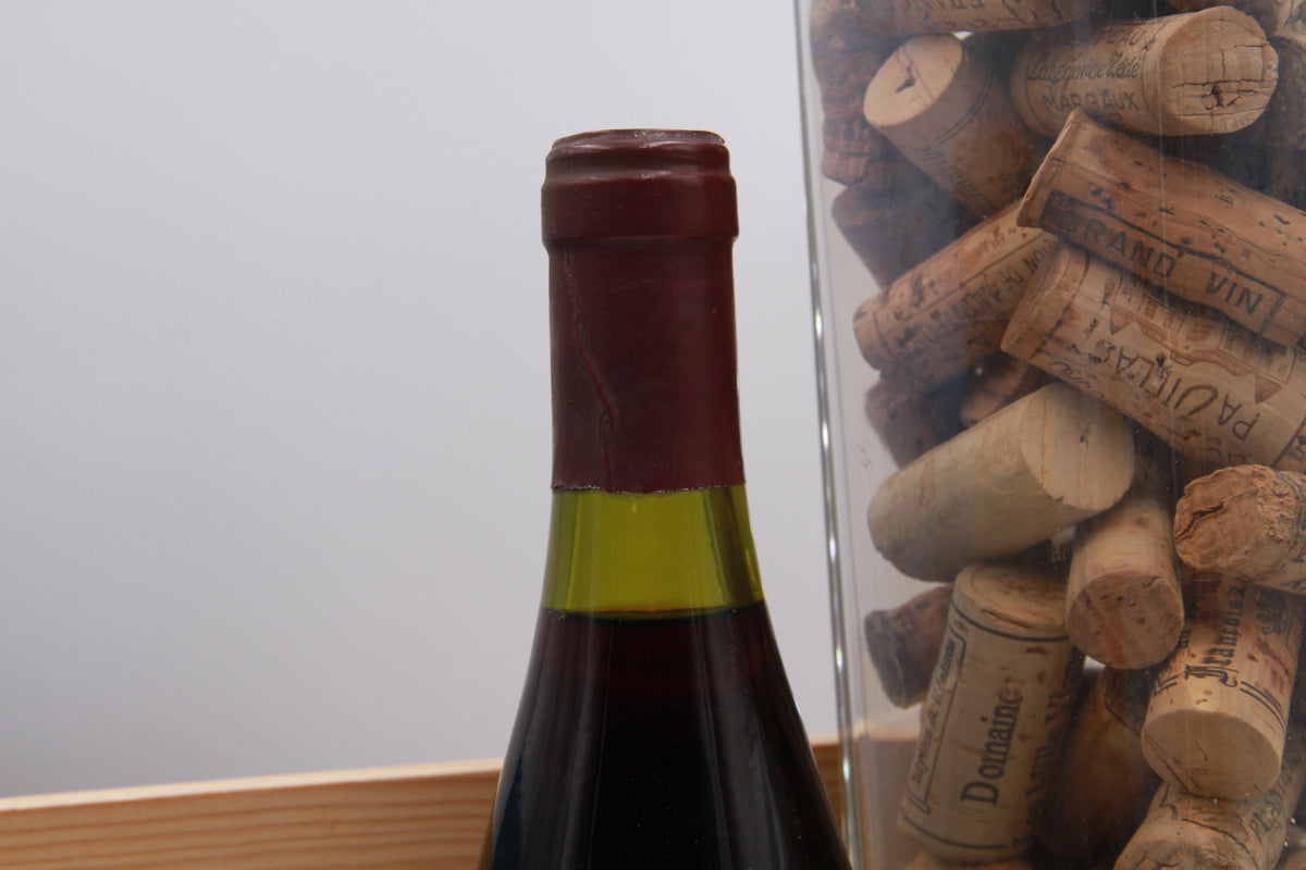 Gevrey-Chambertin  – Domaine G. Vachet-Pousseau.  1993