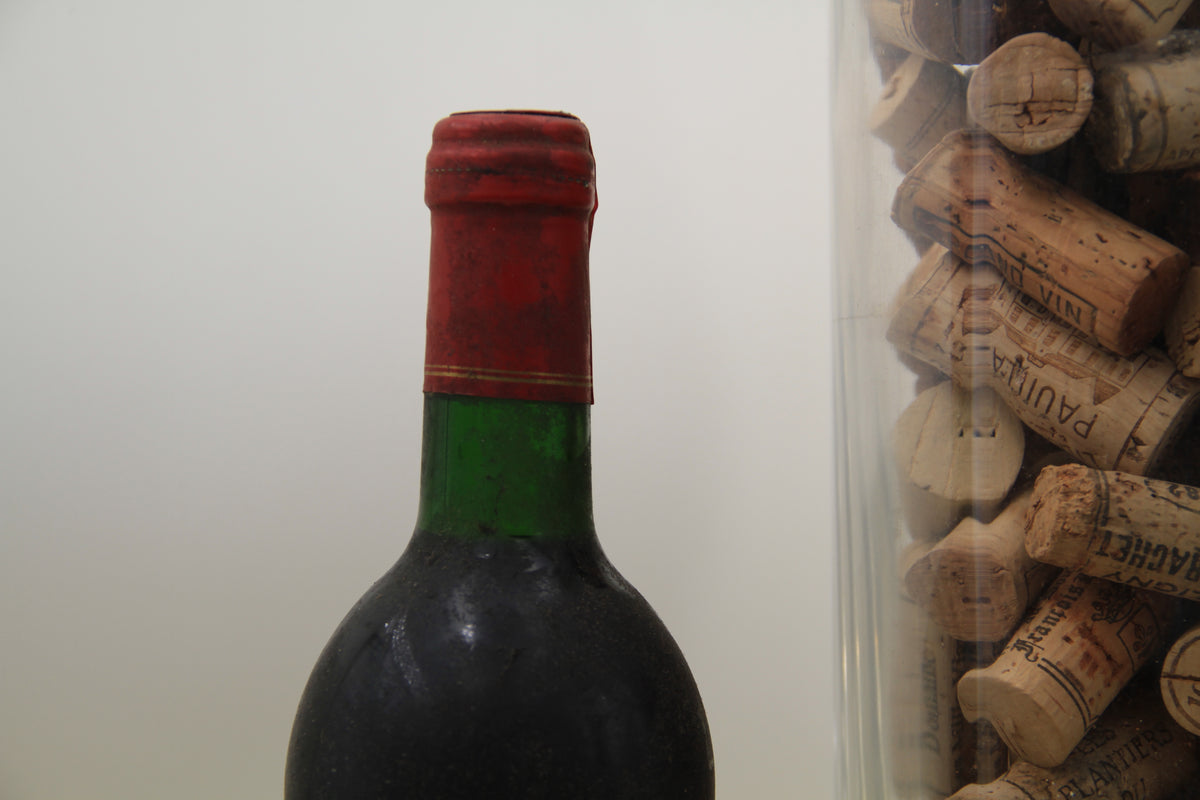 Chateau Beauséjour  **1990**  Cru bourgeois Saint-Eséphe - Eric-Dixvins